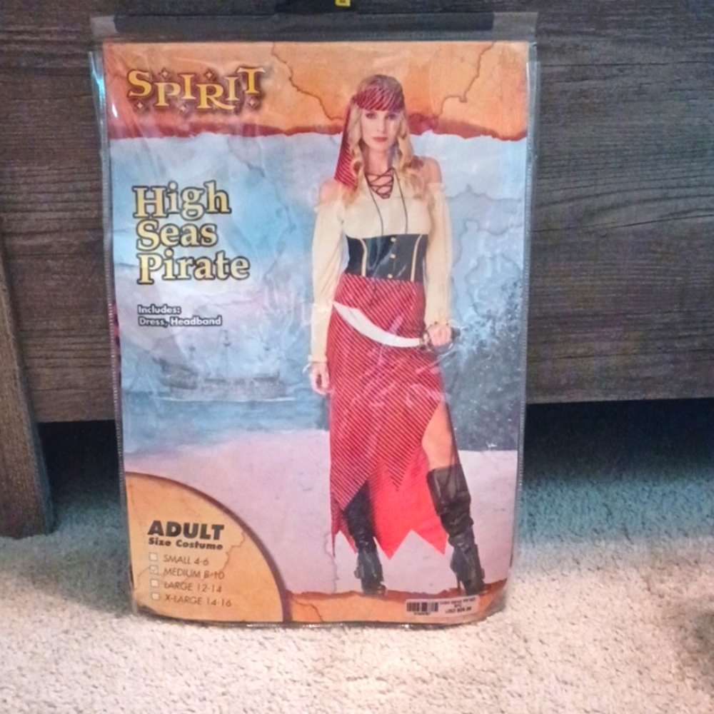 High Seas Pirate Halloween Costume 🎃